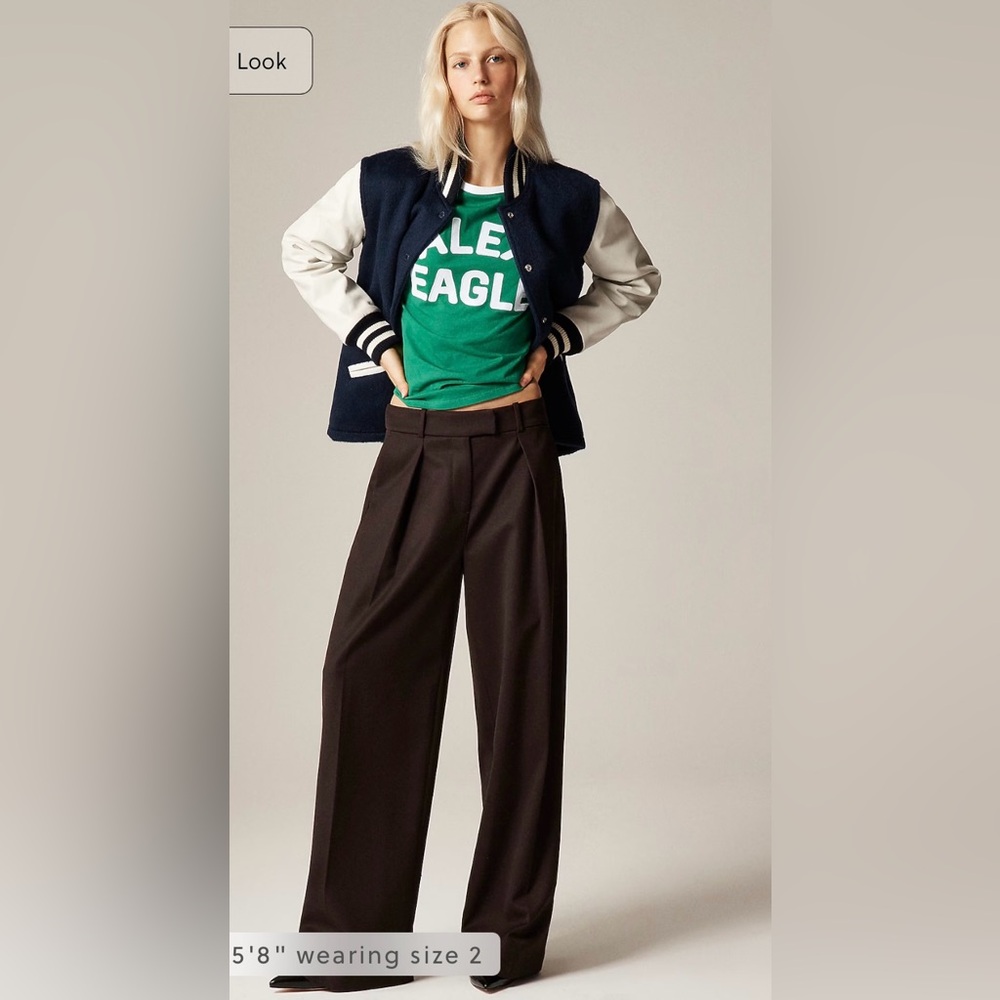 Alex Eagle X J.Crew pleated pant in wool blend in burnt chocolate